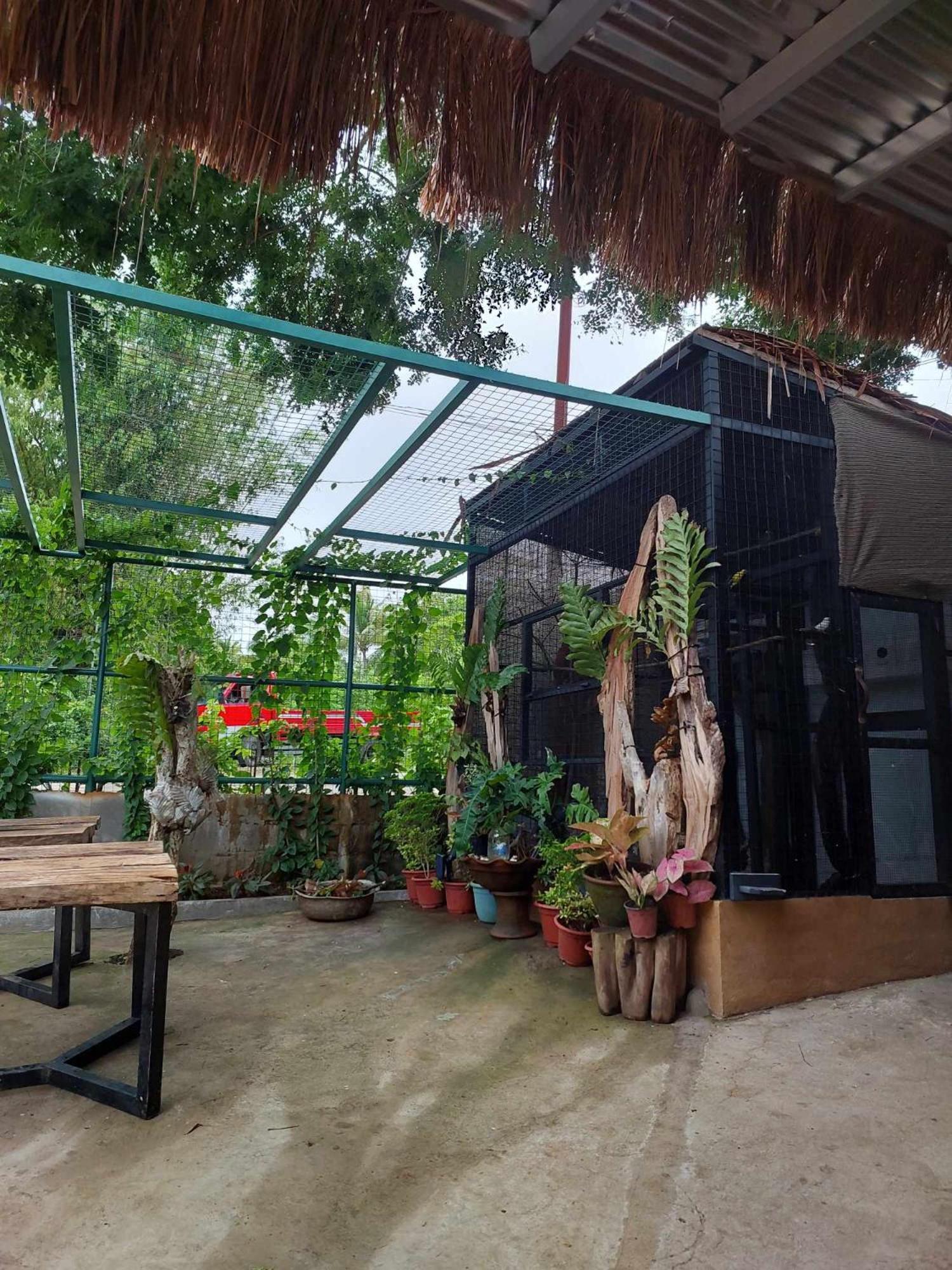 Vikings Ecolodge ซานฮวน ภายนอก รูปภาพ